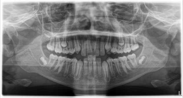 web_ClinicaCondell-25